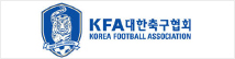 대한축구협회