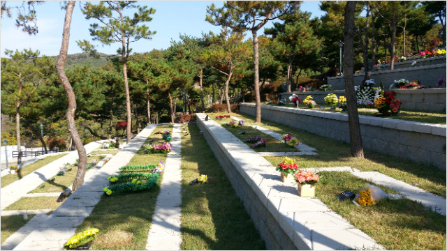 평장
